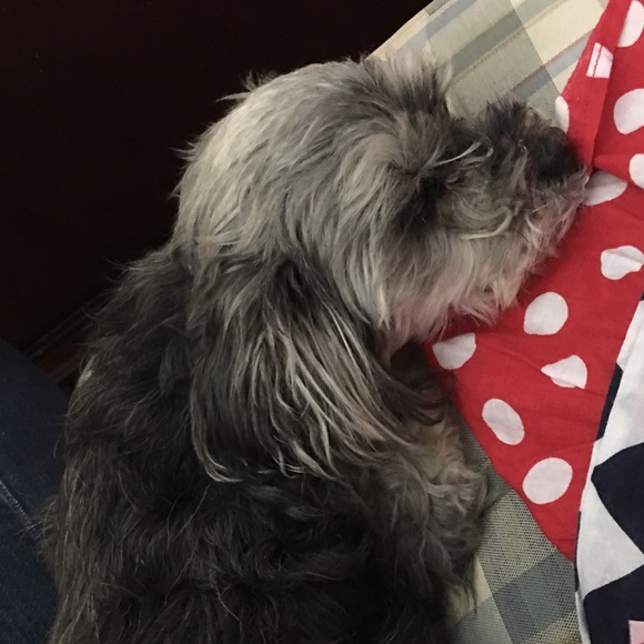 Meet your Posher, Valerie - Picture 1 of 1